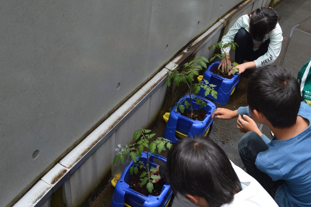 苗植えを行いました！（２年生）