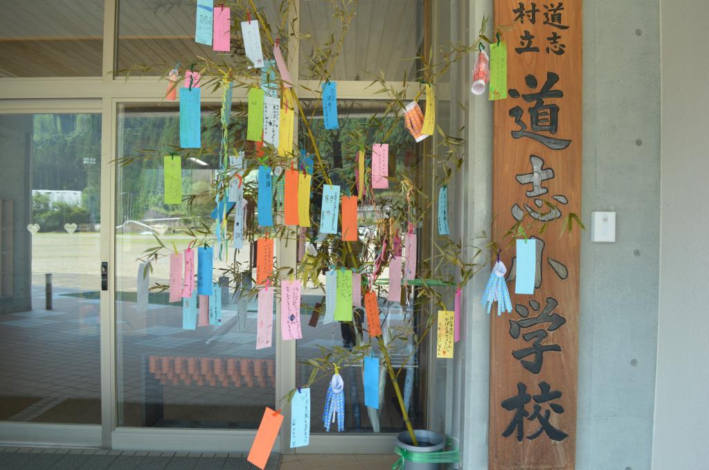 七夕☆みんなの願いが叶いますように！