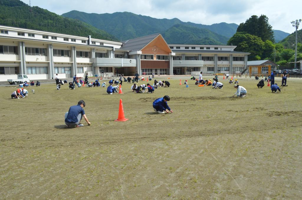 石拾い・草抜き