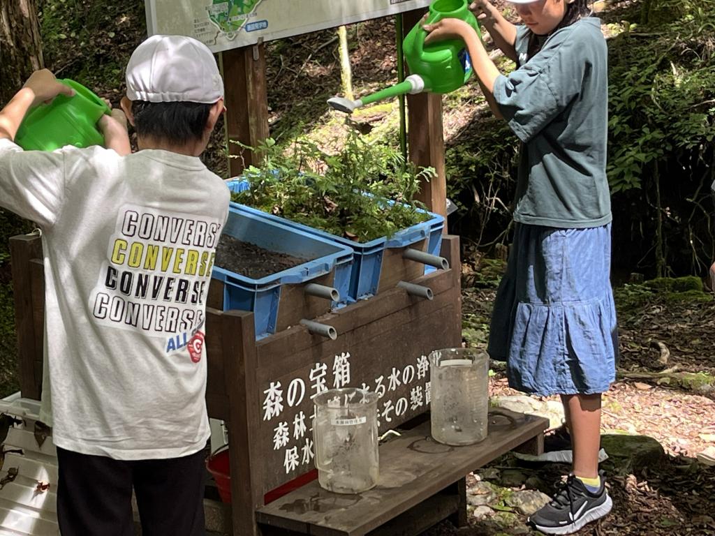 4年生水源林見学
