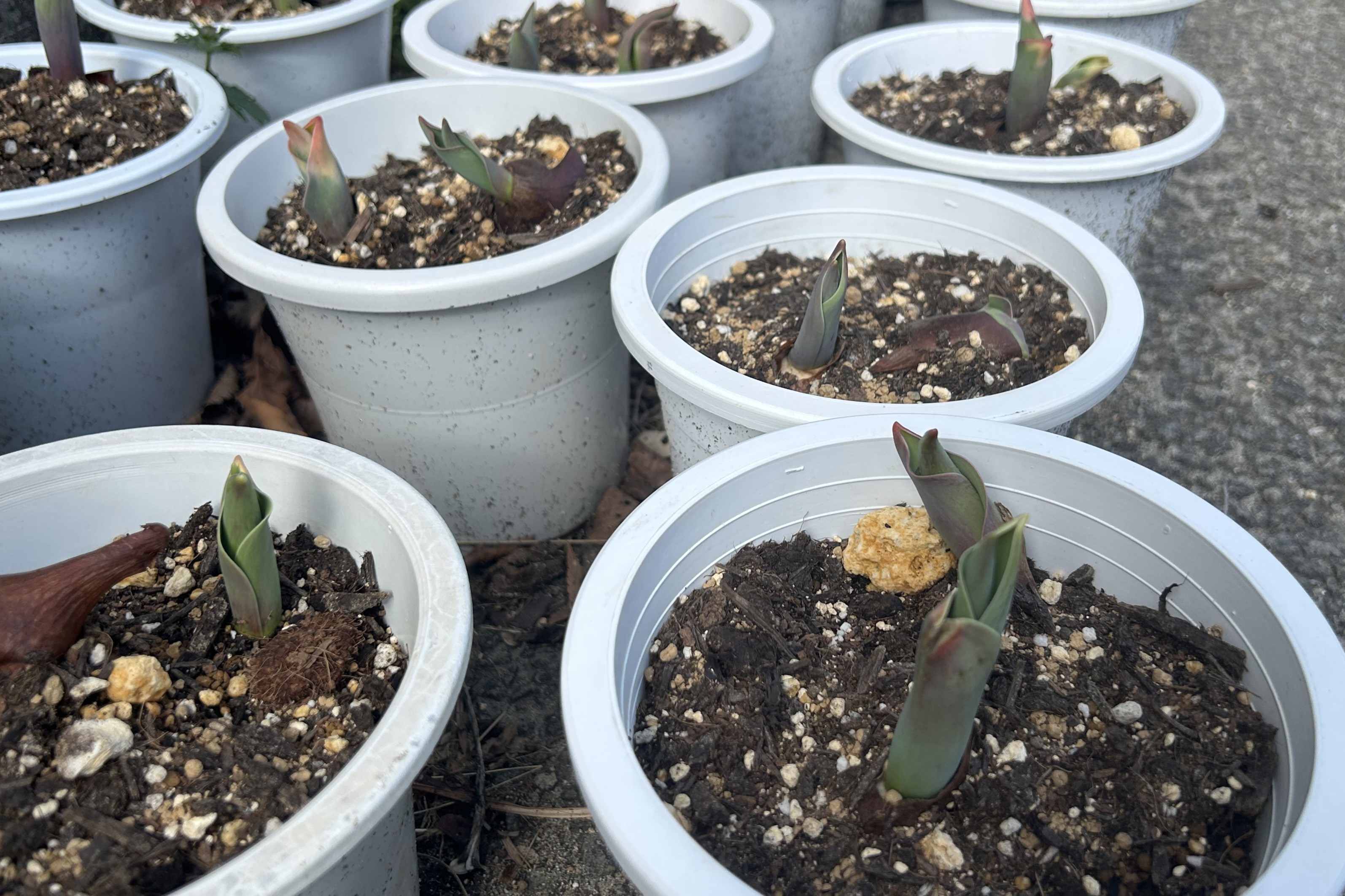 Ｒ７（２８号）次の一歩へ・変えられるの未来の自分